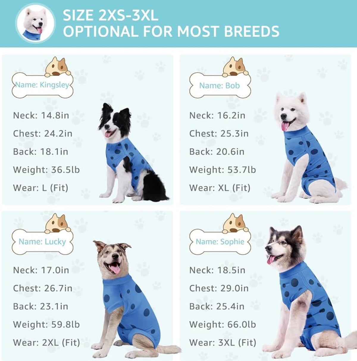 2 Pack Medium Dog Surgery Recovery Suit for Male/Female, Post Surgery Protective Wear with Pee Hole, Unisex Pet Surgical Vest for Wound Care, Spay/Neuter Healing(Blue Polkadot, M)