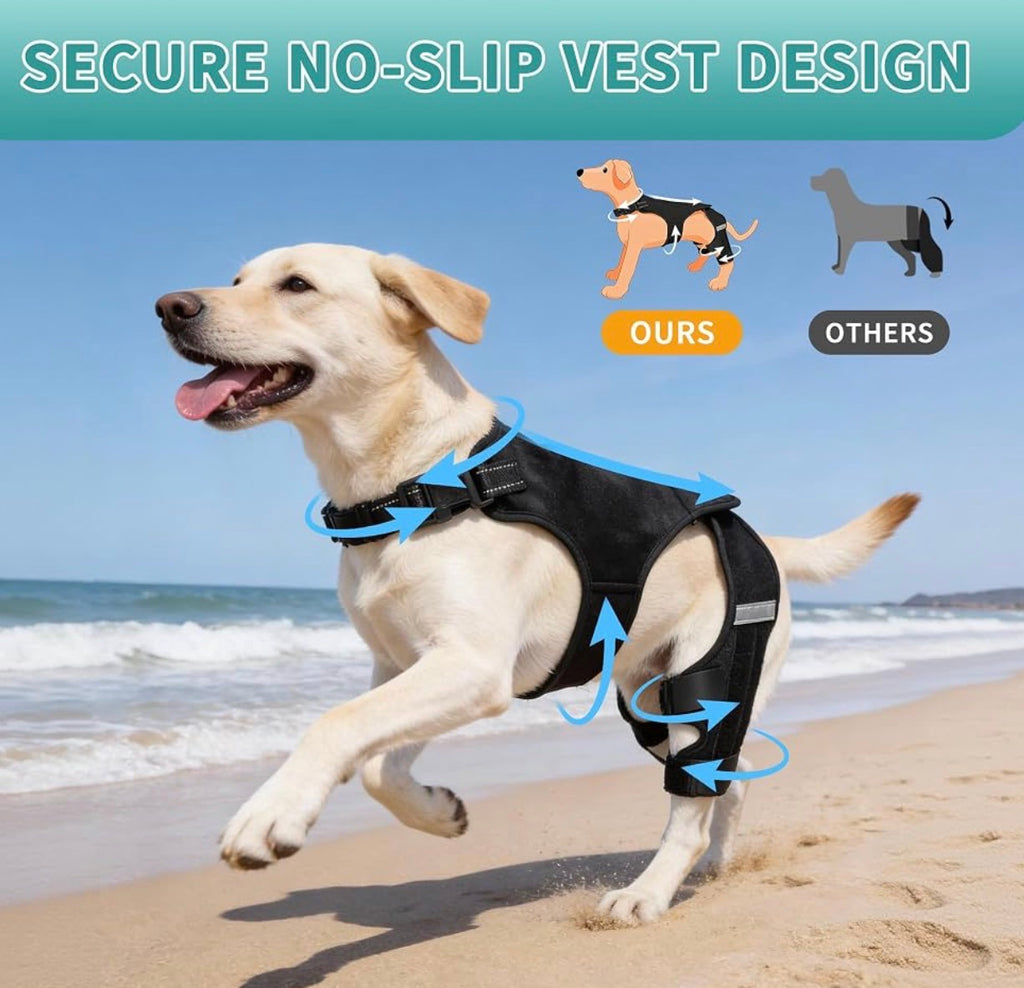 Dog Knee Brace for Torn ACL Hind Leg, Adjustable Dog Leg Braces for Back Leg with 4 Stabilizers for Luxating Patella Relieves Ligament Injury and Joint Pains - Medium