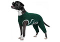 Dog Surgery Recovery Suit, Professional Dog Surgical Suit for Back Legs, Soft Dogs Recovery Sleeve to Prevent Licking Biting Wounds, Dogs Onesie After Surgery Elbow Protector, Green L