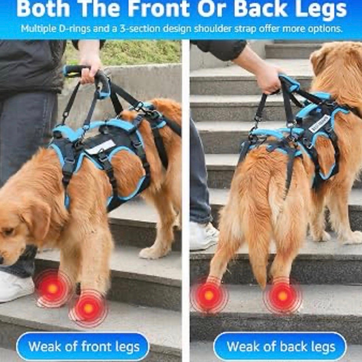 Dog Lift Harness for Large Male Dogs, 2-in-1, Back Leg Support & Mobility Assistance for Senior Dogs, Post-Surgery Recovery Sling (Black & Blue, Large)