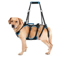 Dog Lift Harness for Large Male Dogs, 2-in-1, Back Leg Support & Mobility Assistance for Senior Dogs, Post-Surgery Recovery Sling (Black & Blue, Large)