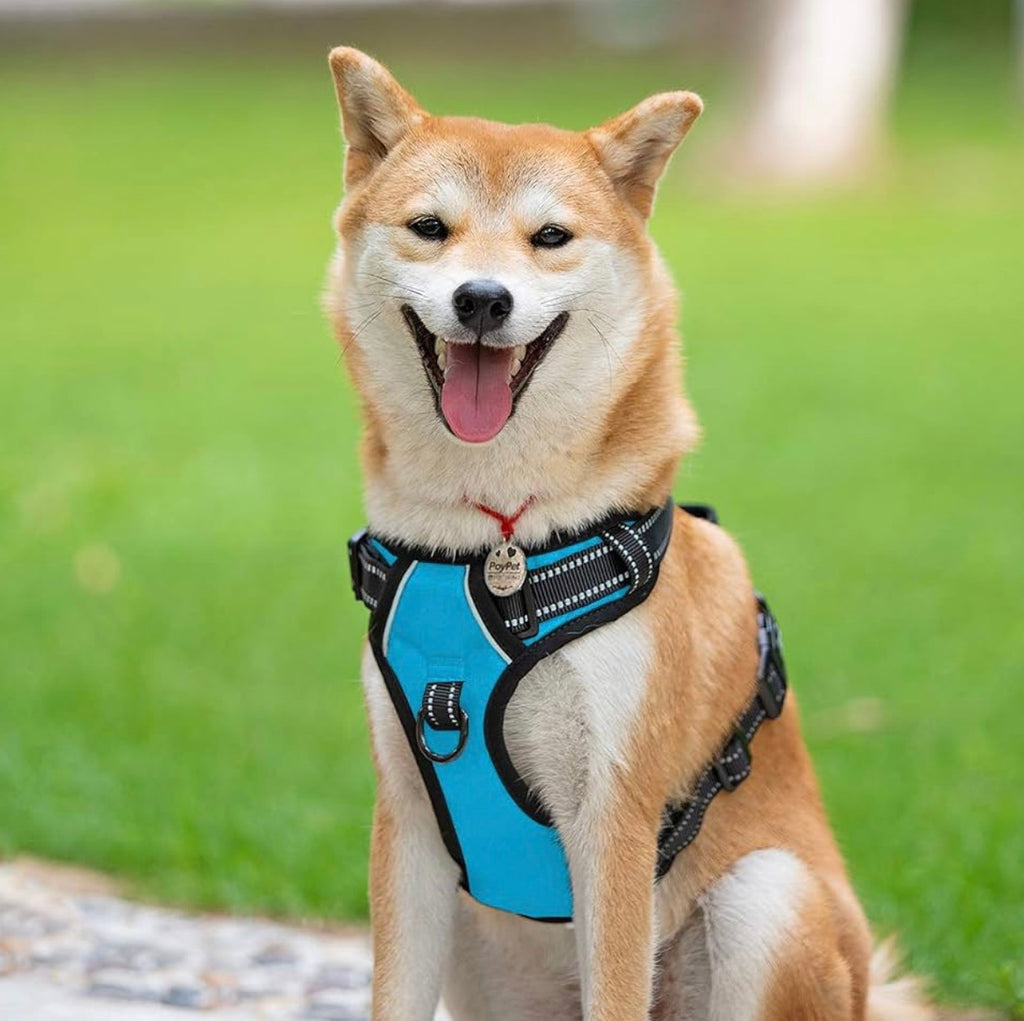 Size XS - Reflective Dog Harness w/Front Clip & Handle - Black & Blue