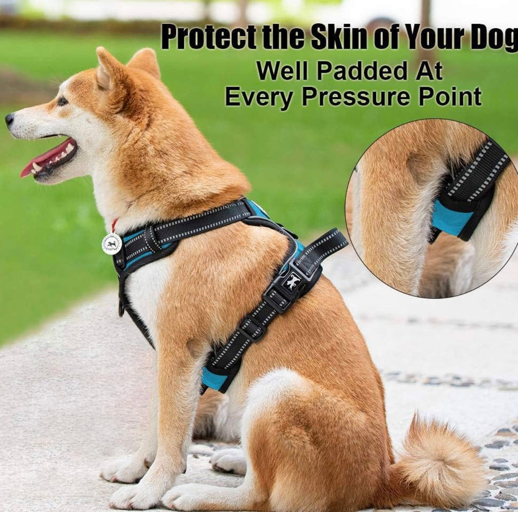 Size XS - Reflective Dog Harness w/Front Clip & Handle - Black & Blue