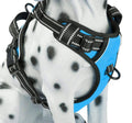Size XS - Reflective Dog Harness w/Front Clip & Handle - Black & Blue